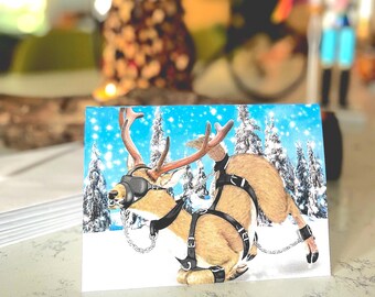 A Nutty Holiday 2025---- ALL TIED UP Set of 8 Xmas Cards