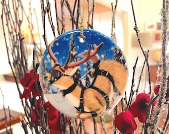 A Nutty Holiday 2025---  ALL TIED UP Christmas Tree Ornaments