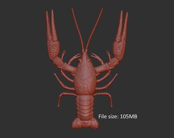 Crayfish 3d stl model relief element, CNC Router Engraver, CNC files