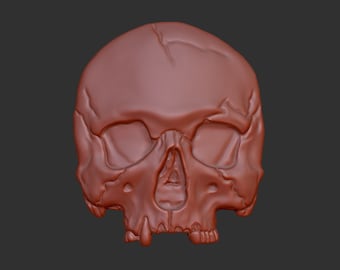 May include: A 3D printed model of a human skull. The skull is made of a light brown plastic and has a detailed texture. The skull is missing some teeth and has a crack on the top of the head.
