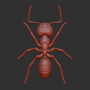 Puede incluir: Un modelo 3D de una hormiga roja, vista desde arriba. La hormiga tiene seis patas, un cuerpo segmentado y un par de antenas.