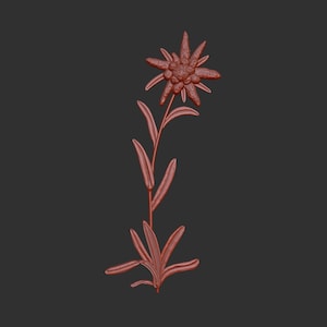 Puede incluir: Un modelo 3D impreso en rojo de una flor de edelweiss con un tallo largo y hojas.