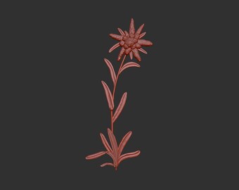 Edelweiss 3d stl model relief element, CNC Router Engraver, CNC files