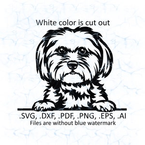 Maltese dog svg vector, Maltese dog peeking logo, pdf, dxf, ai, eps, png files