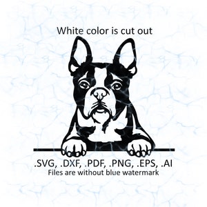 Boston Terrier svg vector, Boston Terrier peeking logo, pdf, dxf, ai, eps, png files