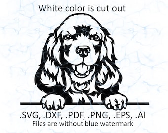 American Cocker Spaniel svg vector, American Cocker Spaniel peeking logo, pdf, dxf, ai, eps, png files