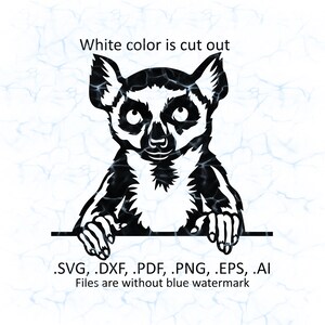 Lemur svg vector, Lemur peeking logo, pdf, dxf, ai, eps, png files