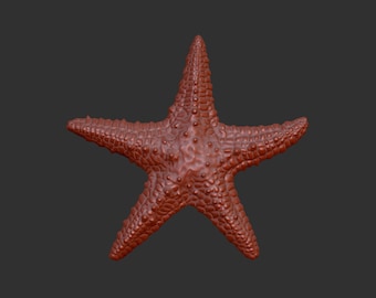 Starfish stl 3d model relief element, CNC Router Engraver, CNC files
