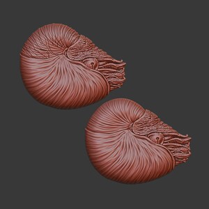 May include: Two reddish-brown nautilus shell sculptures. The shells have detailed textures, including ridges and a spiral pattern. The background is a solid, dark gray color. The sculptures are likely for home decor or artistic display.