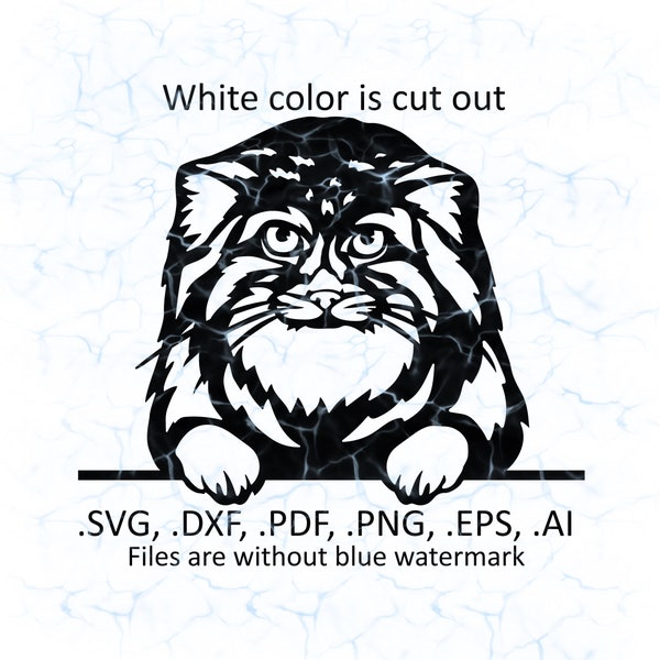 Pallas Cat - Etsy