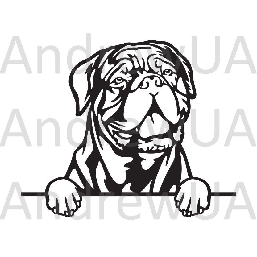 Dogues De Bordeaux Vector Svg File Dogues De Bordeaux Dxf Etsy