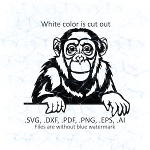 Chimpanzee svg vector, Monkey peeking logo, pdf, dxf, ai, eps, png files