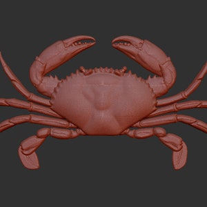 Crab 3d stl model relief element, CNC Router Engraver, CNC files
