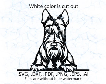 Scottish Terrier svg vector, Scottie peeking logo, pdf, dxf, ai, eps, png files
