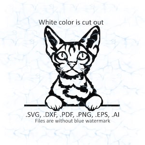 Devon Rex svg Vektor, Devon Rex späht Logo, pdf, dxf, ai, eps, png Dateien