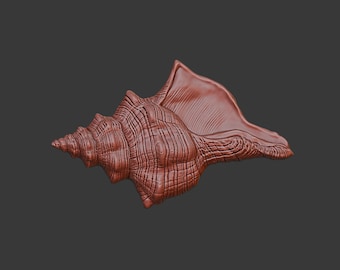 3d Sea Shell Cnc Router Seashell 3D Relief STL File: CNC, Laser, 3D Printing (instant Download ...