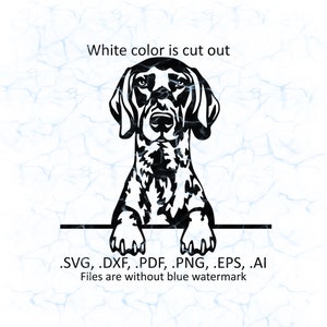 Puede incluir: Silueta en blanco y negro de un Braco Alemán de Pelo Corto asomándose por encima de una superficie. El espacio blanco está recortado. El texto debajo de la imagen dice: '.SVG, .DXF, .PDF, .PNG, .EPS, .AI Files are without blue watermark'.