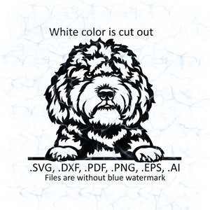 Vecteur svg Labradoodle, logo Labradoodle furtivement, pdf, dxf, ai, eps, fichiers png