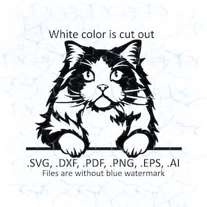 Ragdoll cat svg vector, Ragdoll cat peeking logo, pdf, dxf, ai, eps, png files