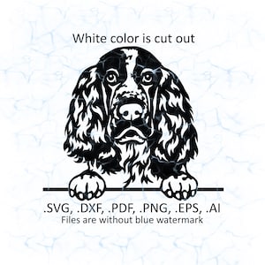 English Springer Spaniel svg vector, English Springer Spaniel peeking logo, pdf, dxf, ai, eps, png files