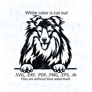 Collie svg vector, Collie peeking logo, pdf, dxf, ai, eps, png files