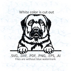 Kangal Shepherd svg vector, Anatolian Shepherd peeking logo, pdf, dxf, ai, eps, png files