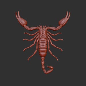Scorpion 3d .stl model relief element, CNC files