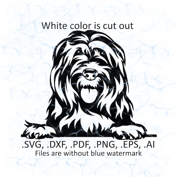 Briard svg vector, Briard peeking logo, pdf, dxf, ai, eps, png, Berger de  Brie files