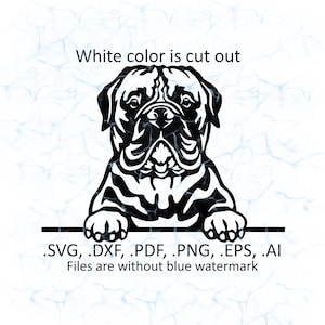 Bullmastiff svg vector, Bullmastiff peeking logo, pdf, dxf, ai, eps, png files