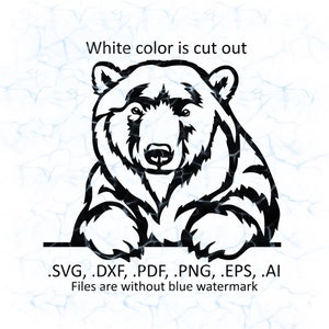 Polar bear svg vector, Polar bear peeking logo, pdf, dxf, ai, eps, png files