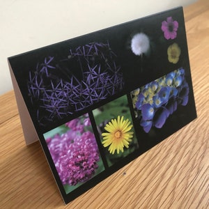 Carte de vœux Flower Collage