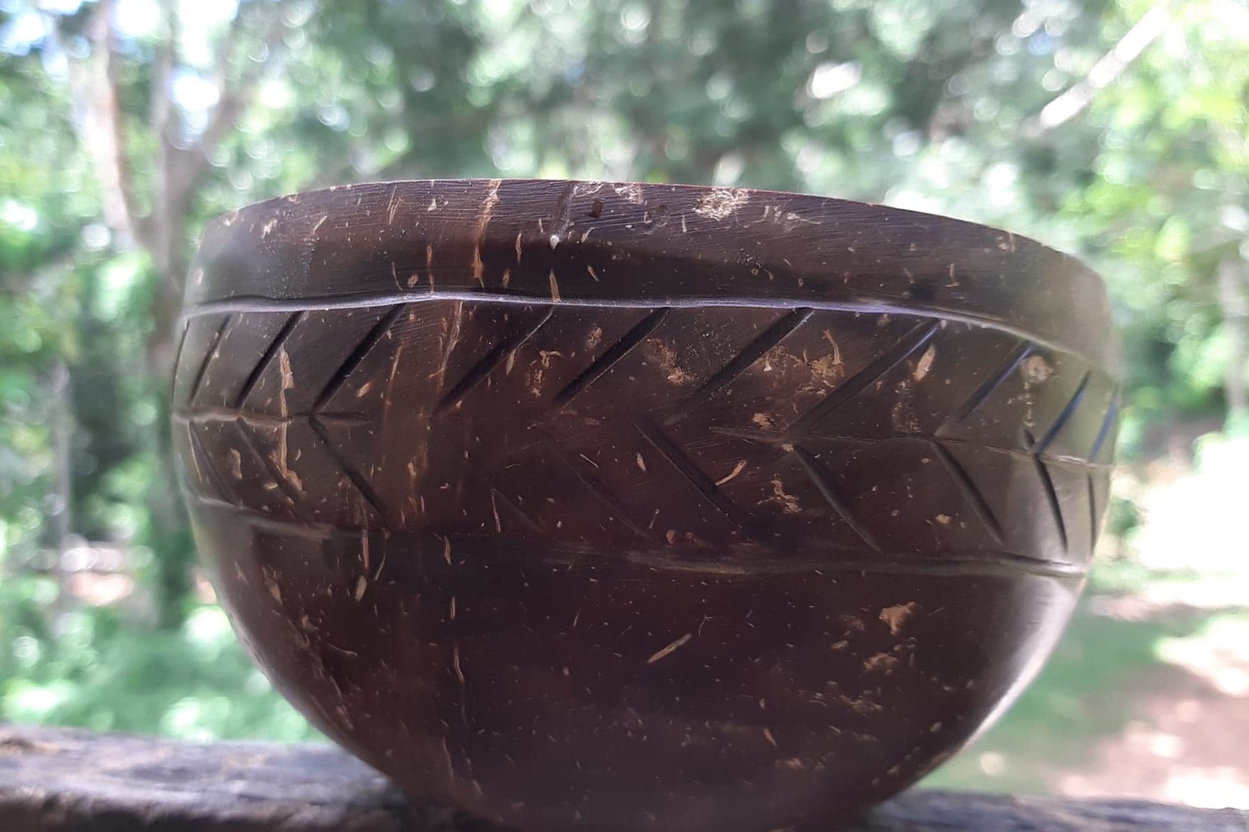 Cuenco natural hecho a mano Coconut Shell Bowl batido postre Etsy España