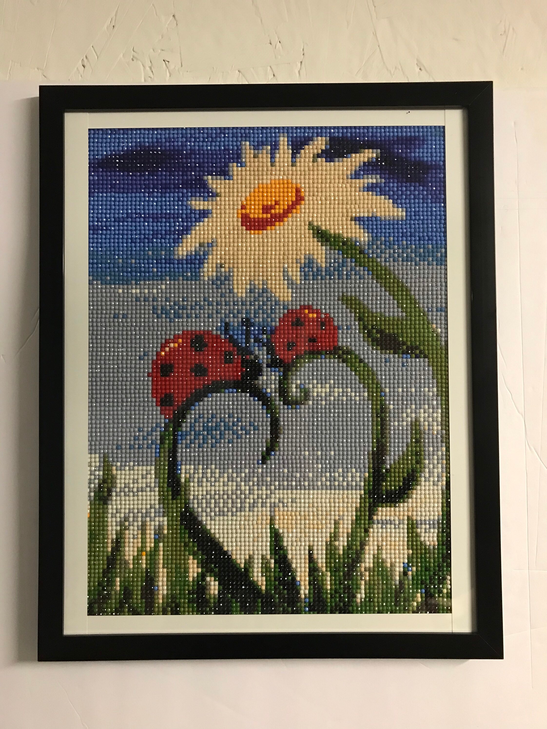 Daisy Ladybug Diamond Art With Frame