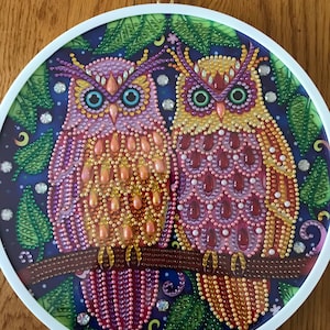 Owl Round Diamond Art with Frame and Hanging
