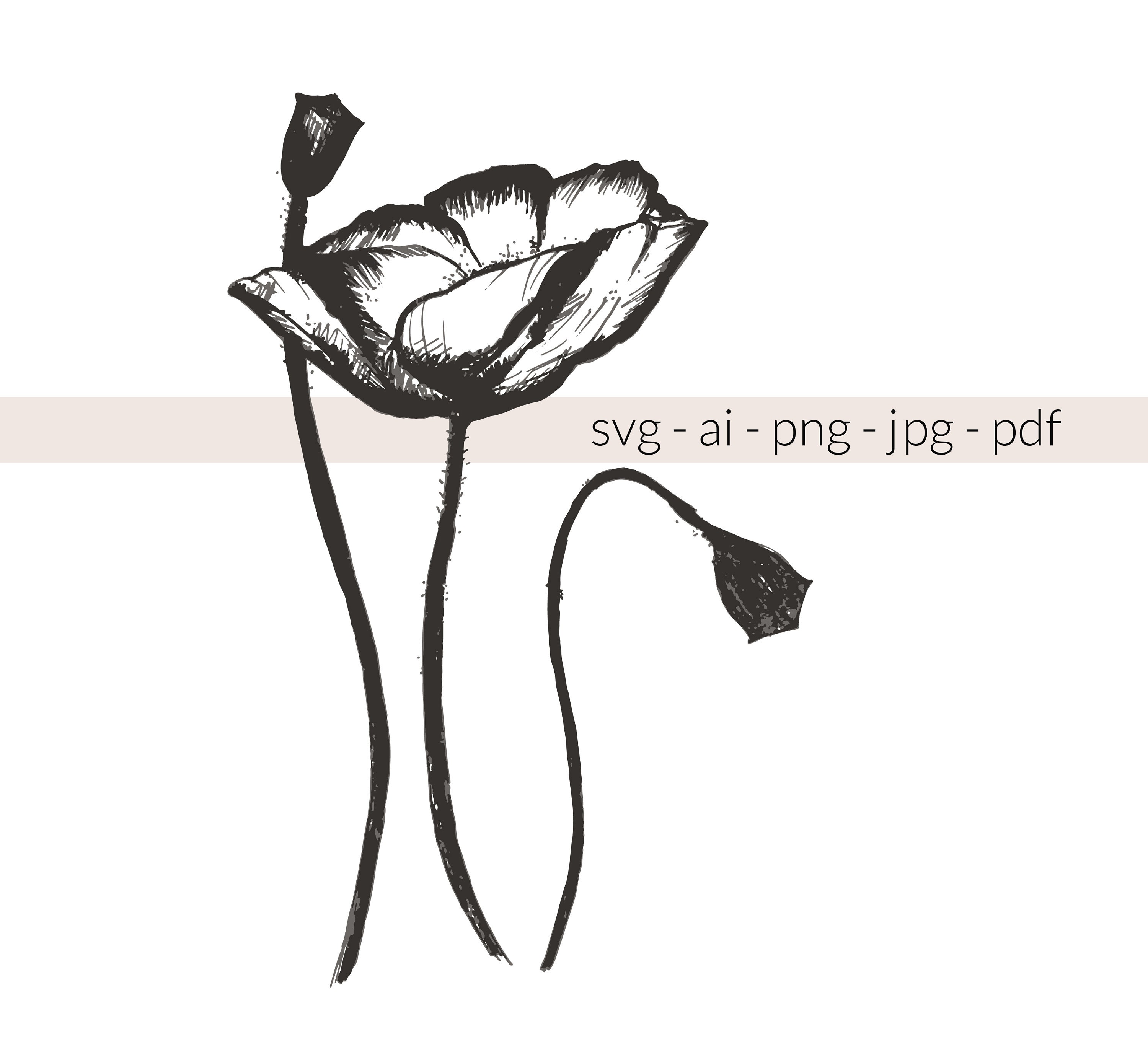 Download Poppy Flower Sketch Clip Art Svg Ai Png Jpg Pdf Black Etsy