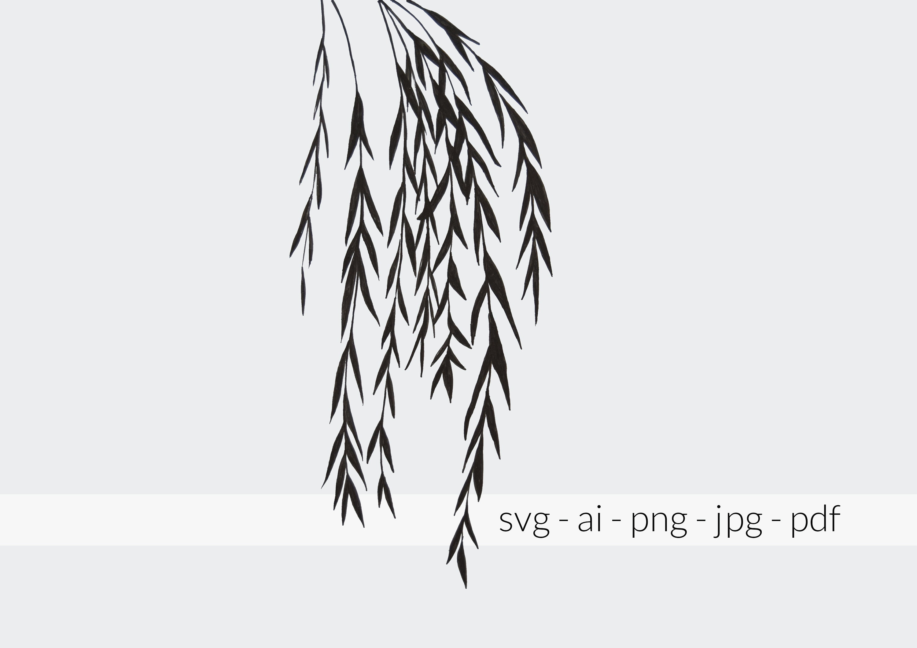Willow Tree Branches Clip Art Svg Ai Png Jpg Pdf Digital Etsy