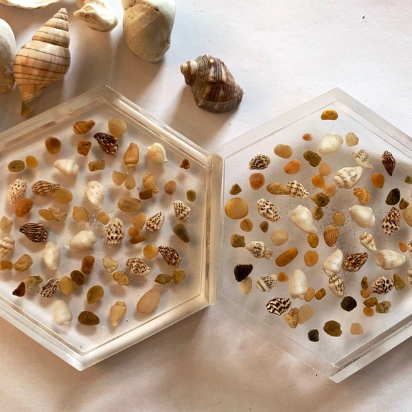Seashell Coasters Etsy