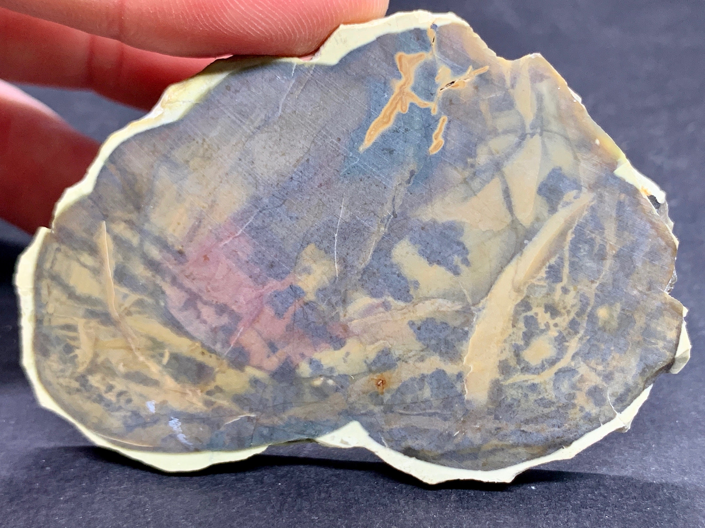 Biggs Picture Jasper Slab Deschutes Jasper Old Stock Etsy UK