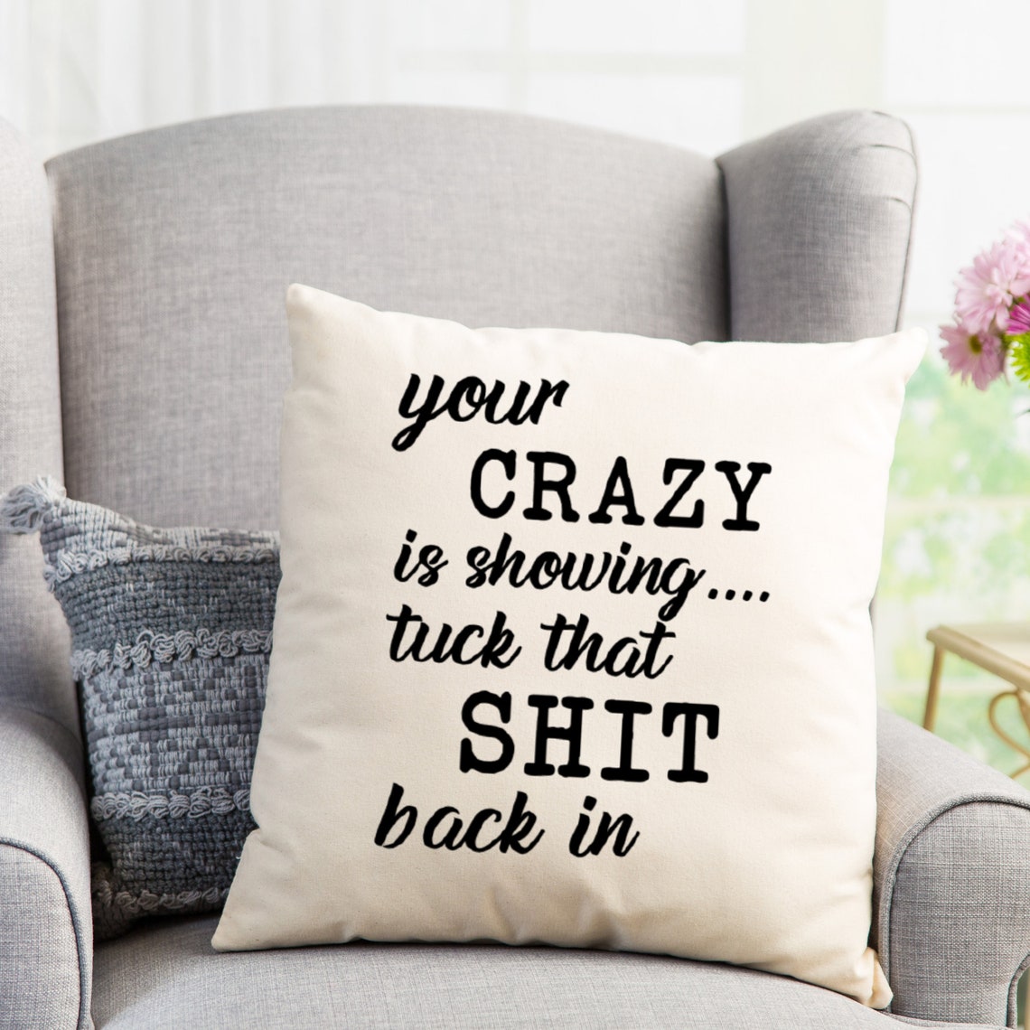 Funny Throw Pillow Funny Accent Pillow Sarcastic Humor Etsy