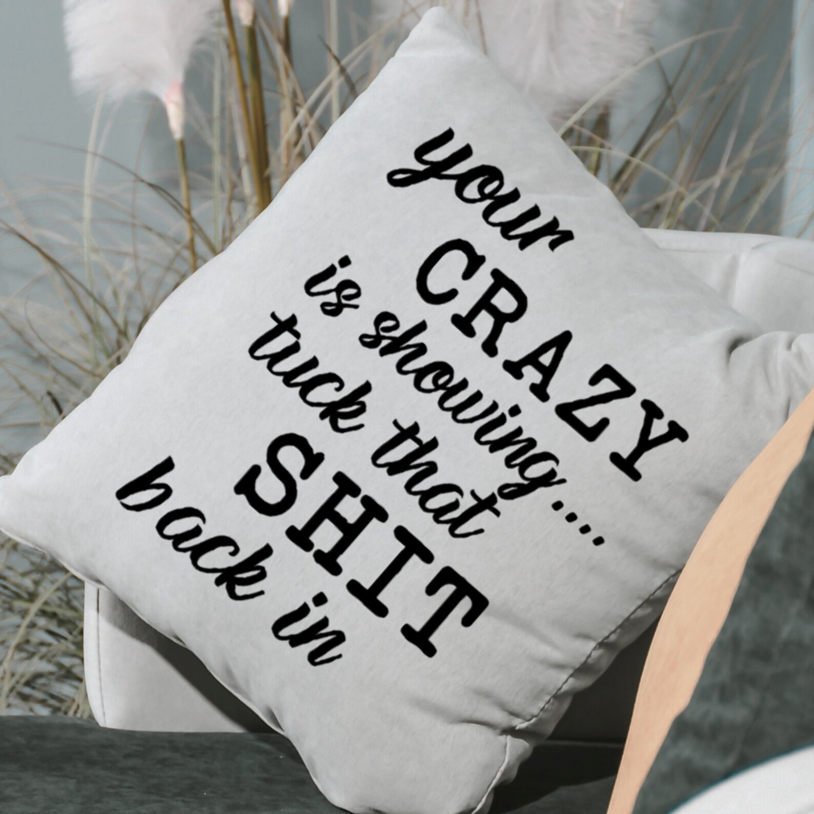 Funny Throw Pillow Funny Accent Pillow Sarcastic Humor Etsy