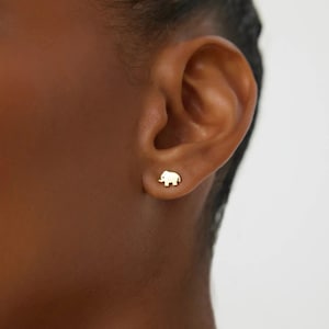 May include: A close-up of a person's ear with a small gold elephant stud earring.