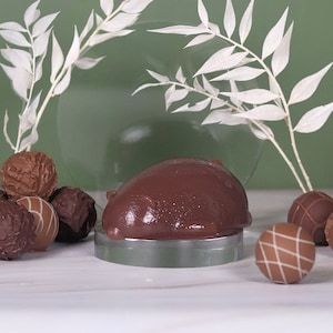 Chocolate Bear Jelly Soap: Cute Vegan Handmade Self-care Gift