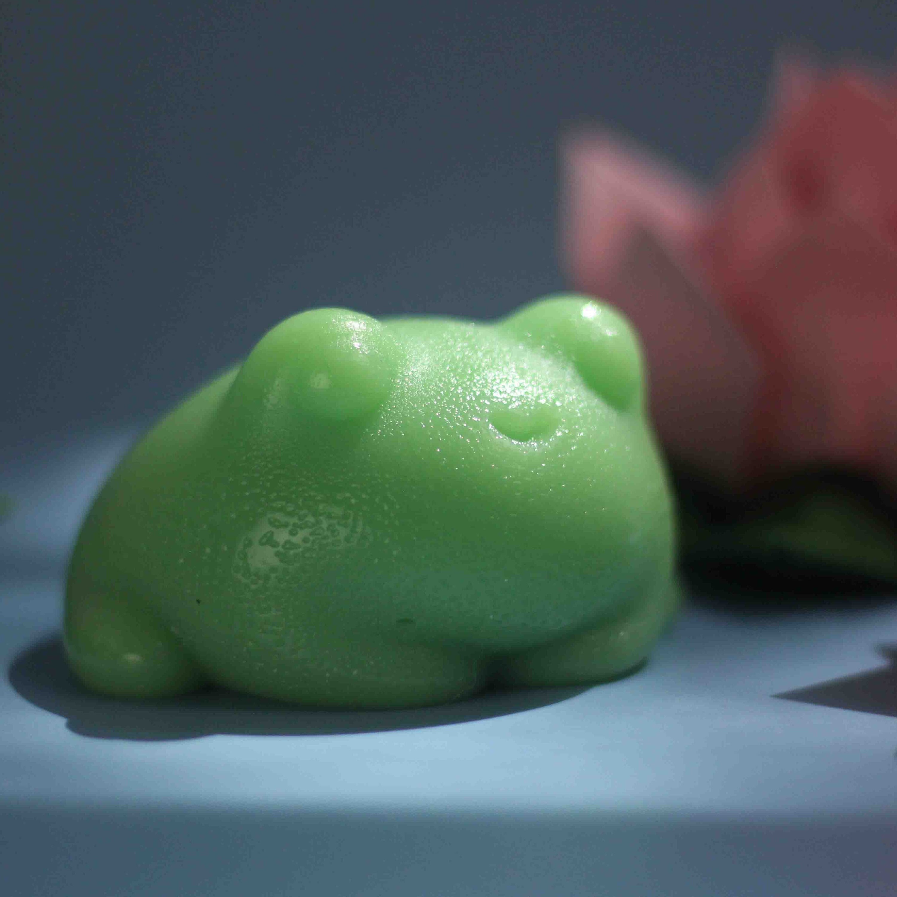 "Frog lovers" silicone mold for soap and candles making mould molds C