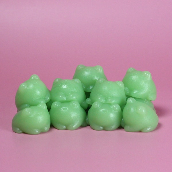 Mini Froggy Jelly-Seife | Minze-Schokoladen-Duft | Vegane Gelee-Seife | Lustige Frosch-Seife | Handgemachte Vegan Seife | Duschgelee | Miniseife | Geschenk