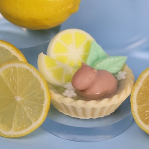 May include: A whimsical dessert-themed arrangement featuring a miniature tart with lemon slices, green leaves, and a small pink animal figure. Fresh lemon halves and whole lemons are arranged on a light blue surface.