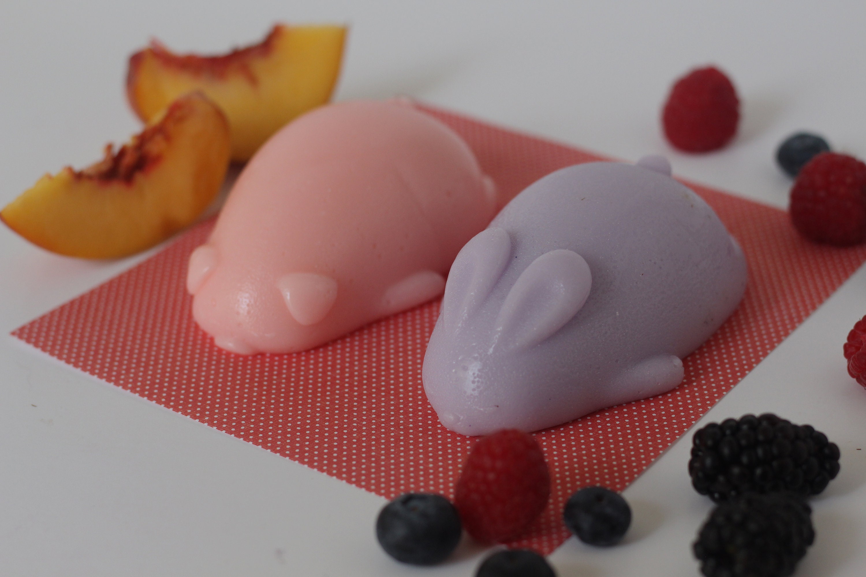 Fruity Jelly Soaps Gift Set Vegan Jelly Soap Cute Gift for Etsy