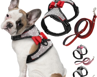 bedazzled dog harness