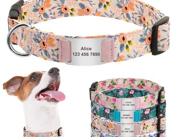 Martingale collar for chihuahua Outlet