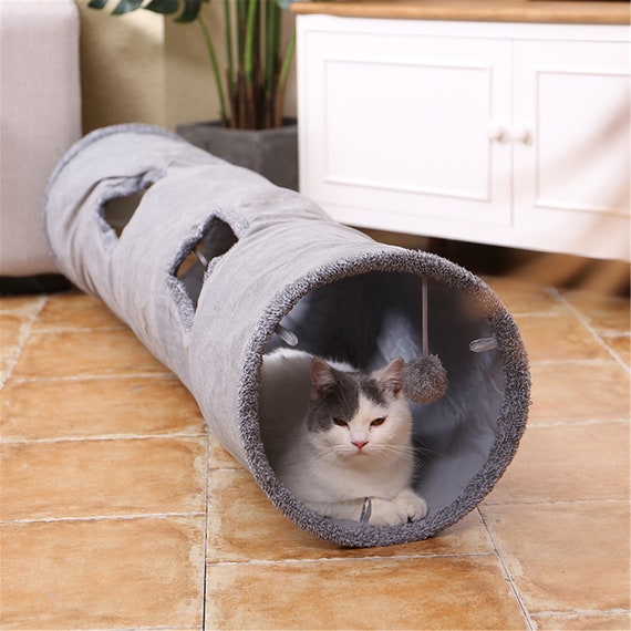 grey cat tunnel