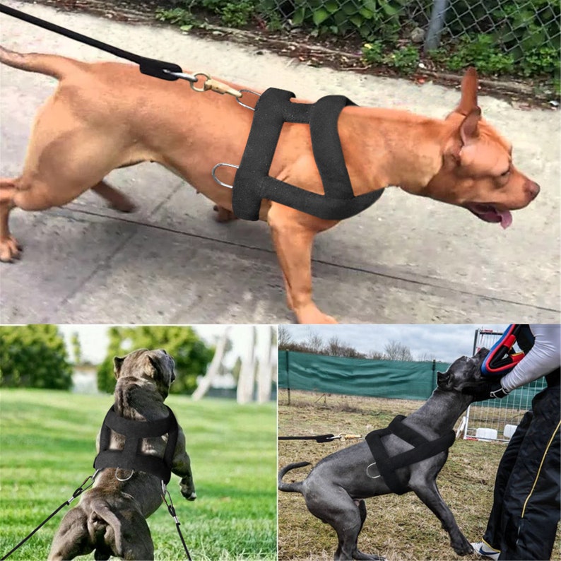 Dog Weight Pulling Harness Soft Padded Dogs Harnesses Large Etsy